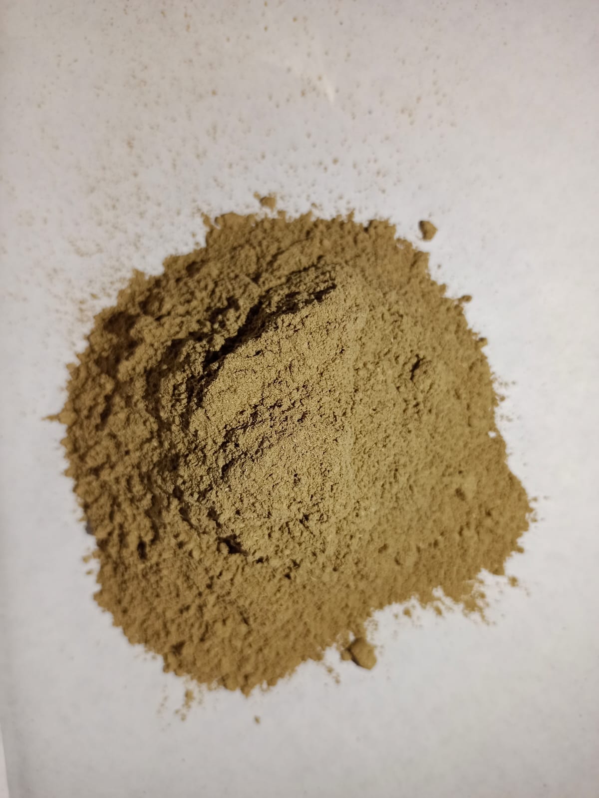 db310191-02e6-4893-9c15-9b10e825f865